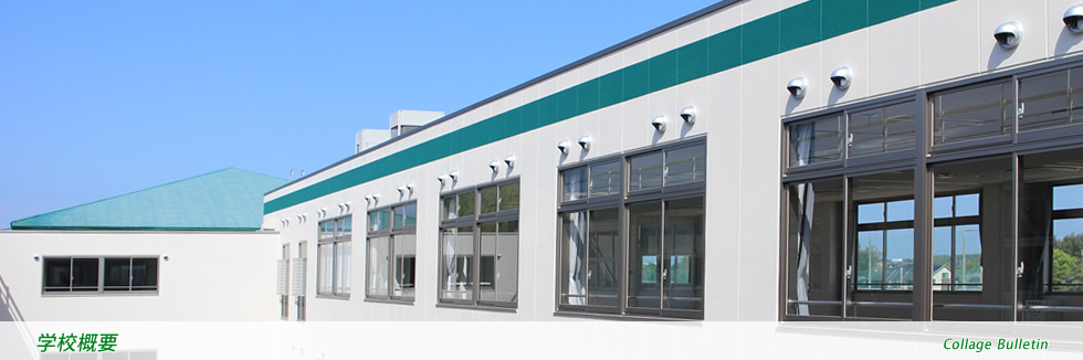 学校概要